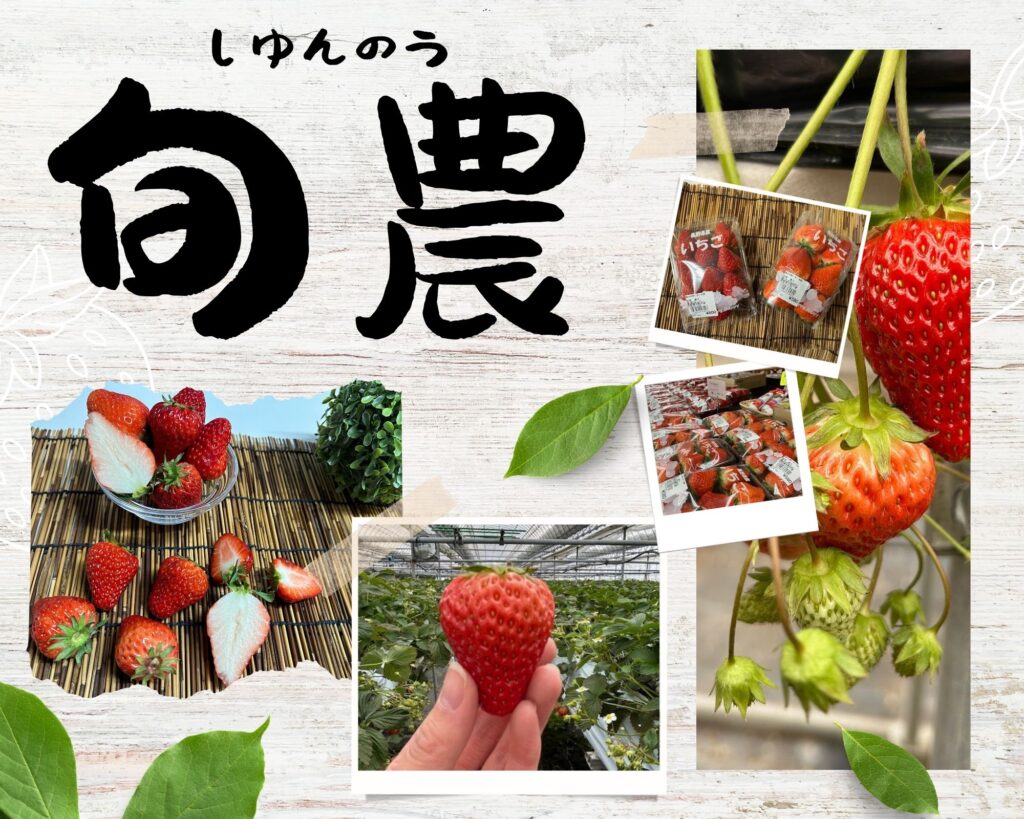 旬農 | ジェイエイ・アップル株式会社